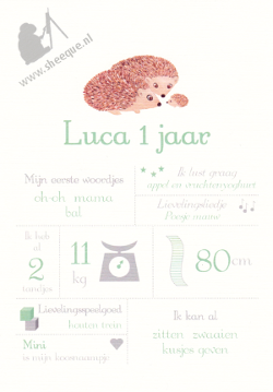 Mijlpalenposter